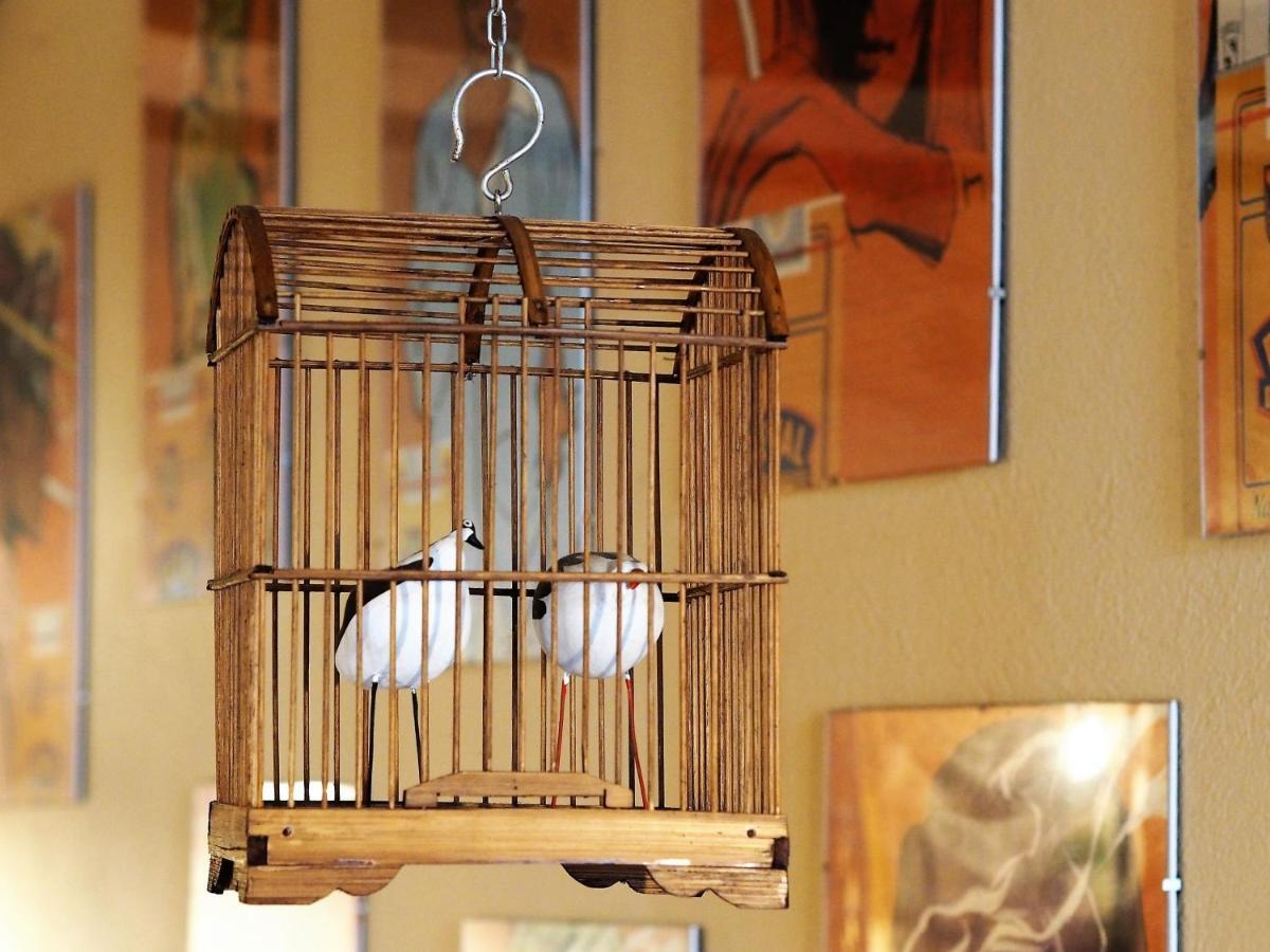 Chambres D'Hotes Le Secret Du Chat Cordes Sur Ciel Ngoại thất bức ảnh